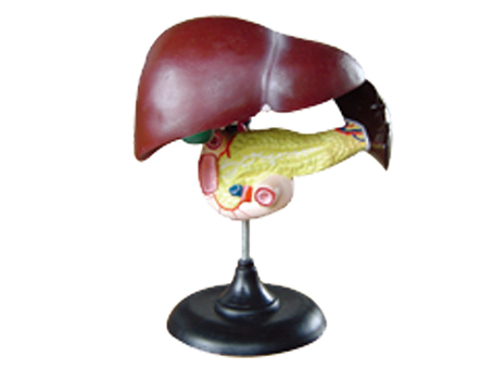 SD-093 33216ʮ֬cKģ